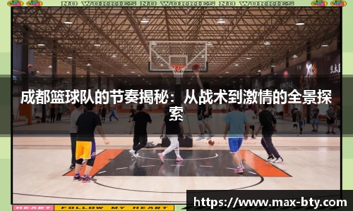 b体育